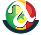 Logo officiel Academie-Plus