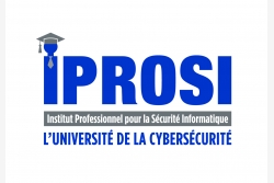 Logo officiel Institut Professionnel pour la Sécurité Informatique