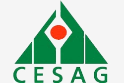 Logo officiel Centre africain d'études supérieures en gestion
