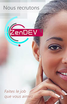 ZenDEV, startup informatique